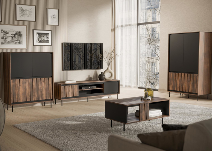 TV alus Swing RTV-1