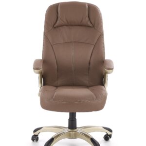 Kontoritool CARLOS, helepruun