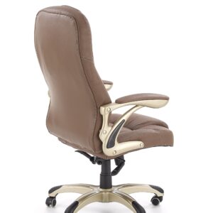 Kontoritool CARLOS, helepruun