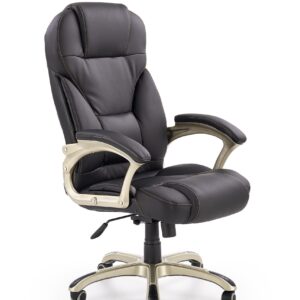 Kontoritool DESMOND, must