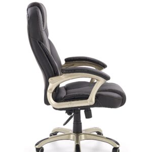 Kontoritool DESMOND, must