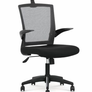 2010001159759_2 Kontoritool VALNOR, must / hall