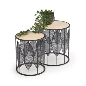 Kohvilaua komplekt FOLLA,