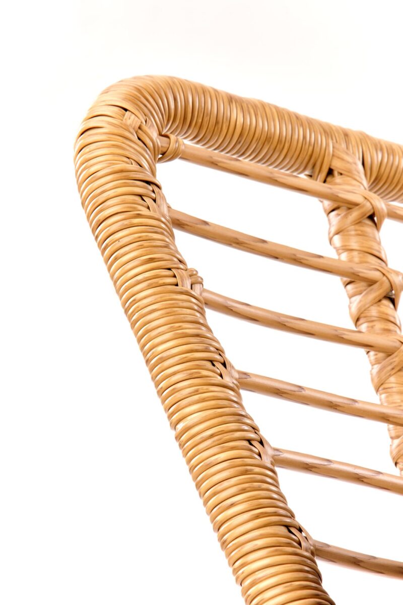 Aiadiivan IKARO, naturaalne / hall