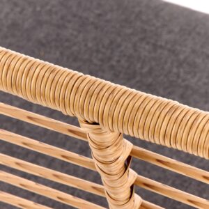 Aiadiivan IKARO, naturaalne / hall