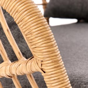 Aiadiivan IKARO, naturaalne / hall