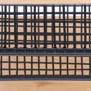 Riiul REGNOR 21, värv: kuldne tamm / must