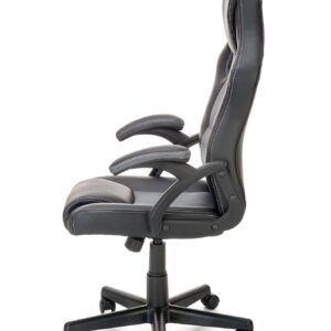 Kontoritool ALOSIN, must / hall