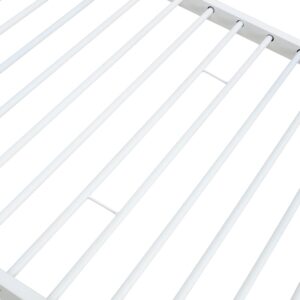 BUNKY narivoodi, valge