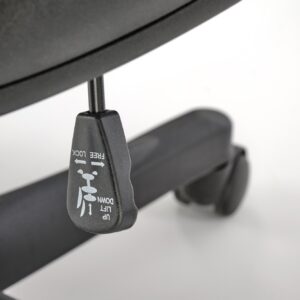 Kontoritool RAGNEL, must / sinine