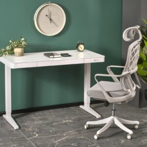 Reguleeritav kirjutuslaud ZARA LUX, valge