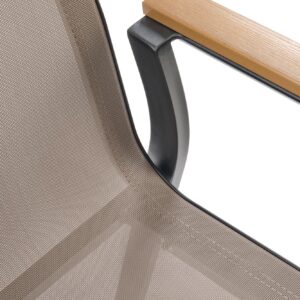 Tool FIERRO, must / helehall / pruun