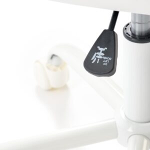 Kontoritool FROST, valge