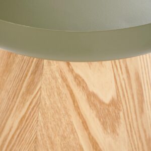 Kohvilaud GINA, naturaalne / roheline