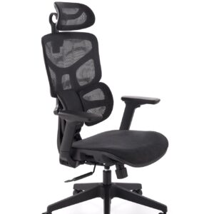 Kontoritool VAYDEN, must