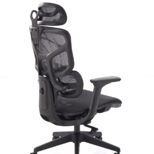 Kontoritool VAYDEN, must