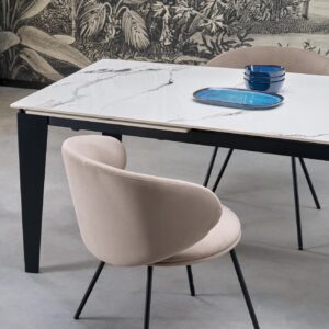 Stacked from 4 images. Method=B (R=8,S=4) Tool Solara, beež