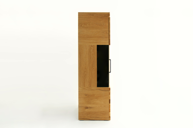 RE-95-_6_ Tammepuidust vitriinkapp Raro 95