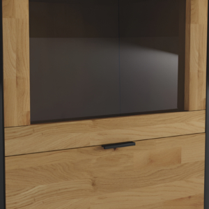 Tammepuidust vitriinkapp KONGO LOFT 06